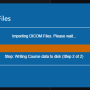 decimal_electronrt_import_in_process.png